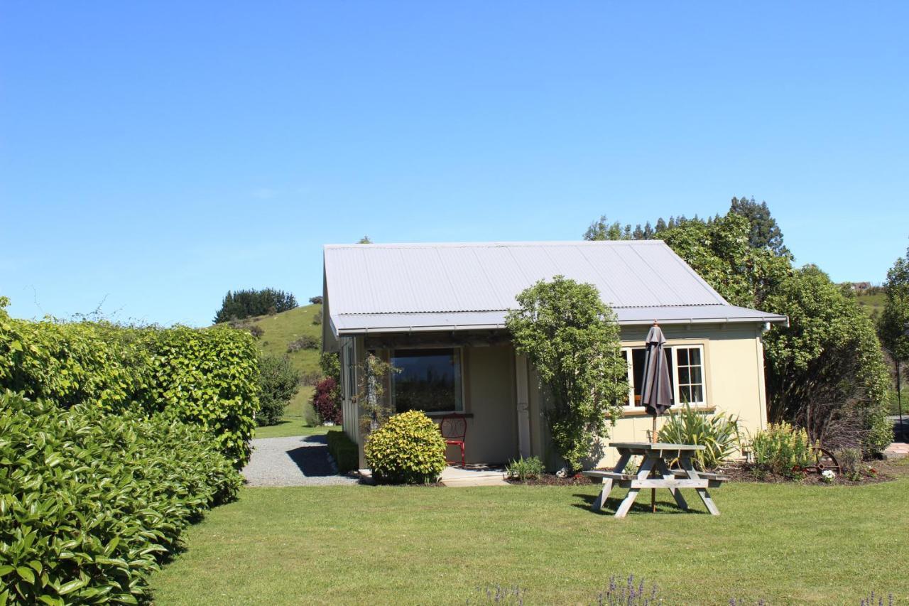 Blue Thistle Cottages Te Anau Esterno foto